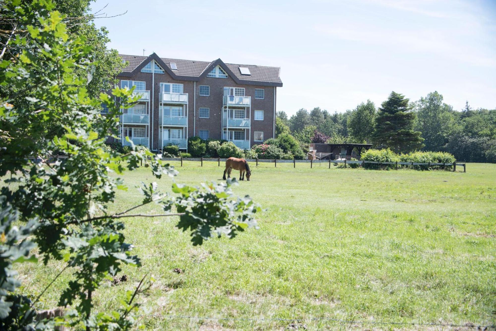 Hohe Geest Whg. 6 Apartment *